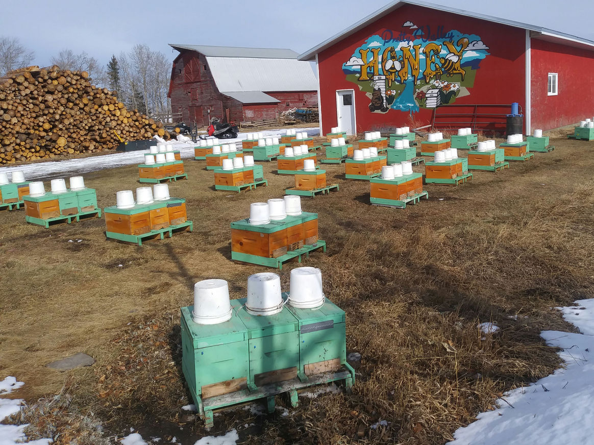 2021 Season photo 20